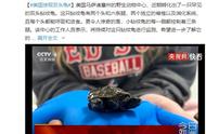 美国惊现奇特双头龟，罕见现象引发关注