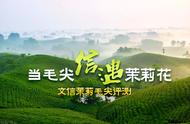 毛尖与茉莉的奇缘：信遇能否成就一段佳话？