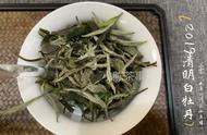 春茶秋茶各有特色，夏日里的夏茶又去了哪里？