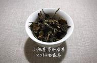 白茶新手必读：散茶与饼茶的全面对比！