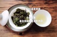 白茶春茶与秋茶：五大区别解析