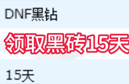 DNF黑砖大揭秘：获取方法与使用技巧