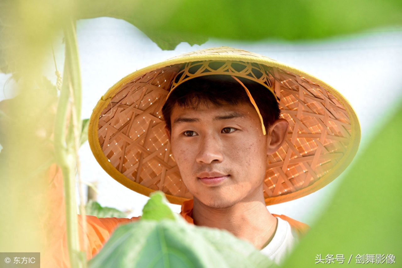 八个“葫芦娃” 返乡创业忙，种植文玩葫芦，畅销全国