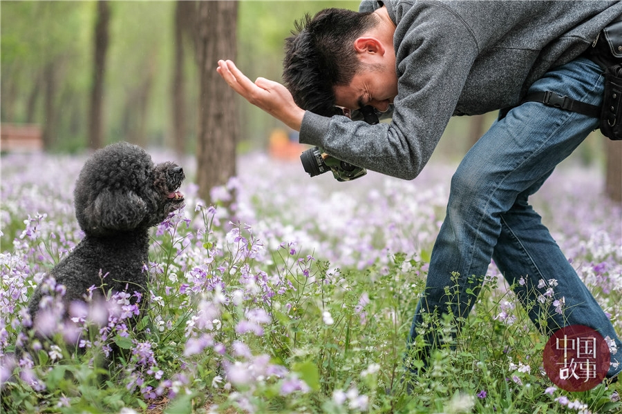 宠物摄影师为流浪狗拍写真 照片出来以后简直不敢相信